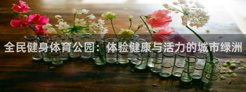 尊龙饰演过的经典角色：全民健身体育公园：体验健康与活力的