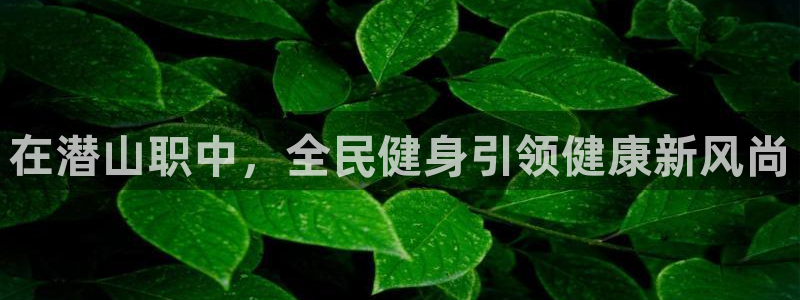 凯时官网手机版下载