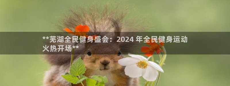 尊龙t600：**芜湖全民健身盛会：2024 年全民健身