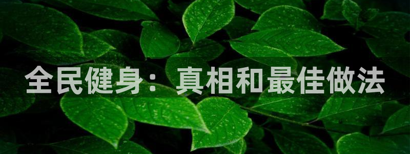 尊龙信息科技有限公司：全民健身：真相和最佳做法